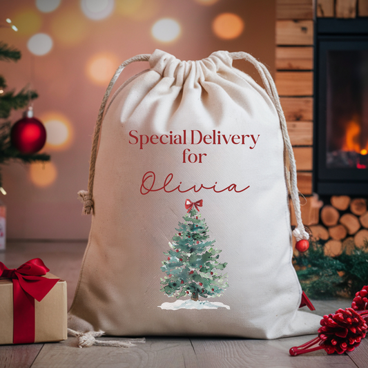 Personalised Special Delivery Santa Sack